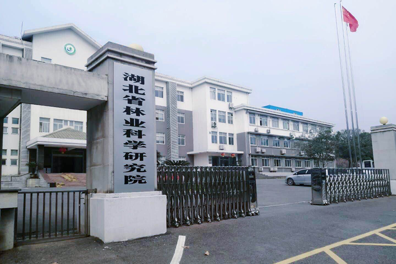 湖北省林业科学研究院消防安全评估项目